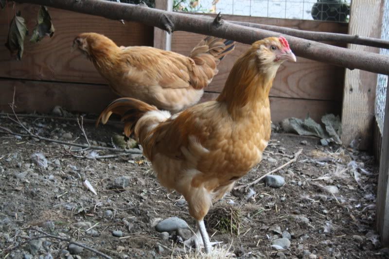 october2010322.jpg