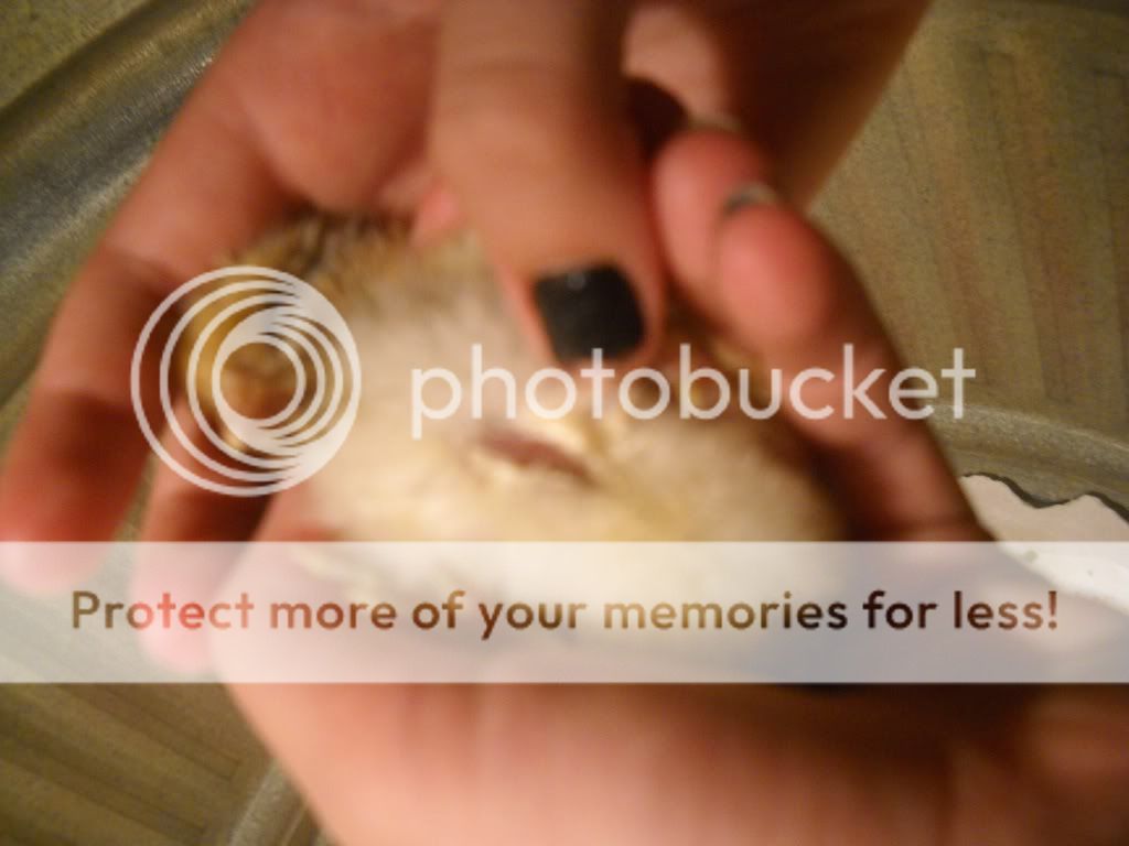 DSCN1303.jpg
