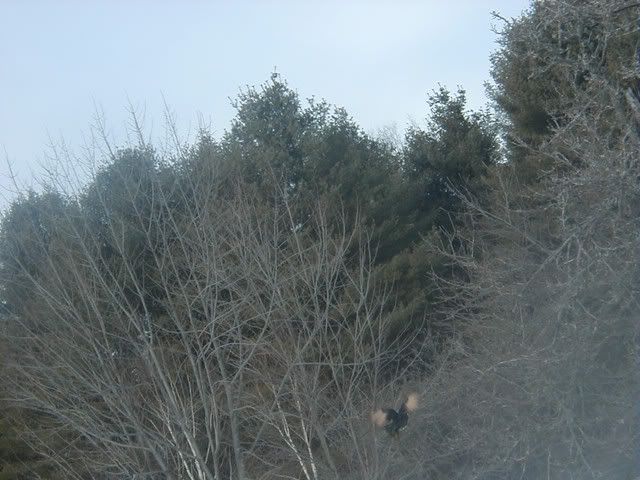 PC270036sized.jpg