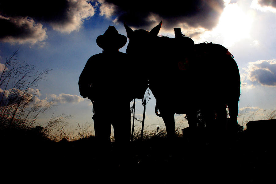 cowboy-silhouette-toni-hopper.jpg