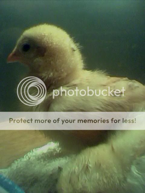 may122010-3.jpg