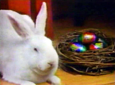 cadbury-bunny.jpg
