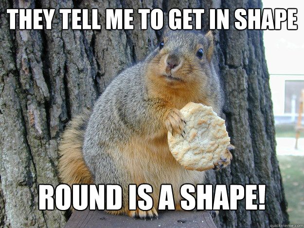squirrel-meme.jpg