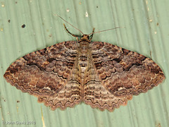 5201338135_72ef9ce8ec_m.jpg