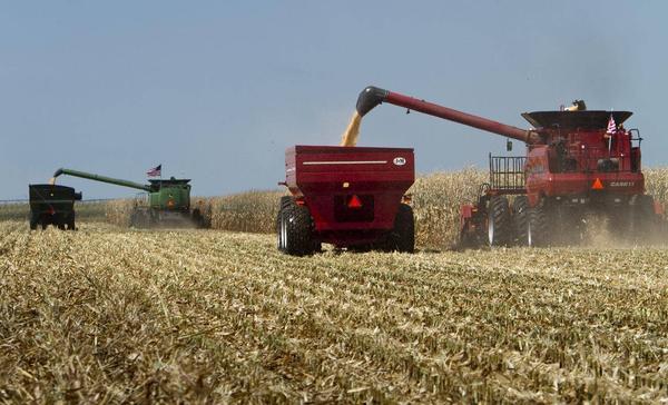 Tractors_farm.jpg