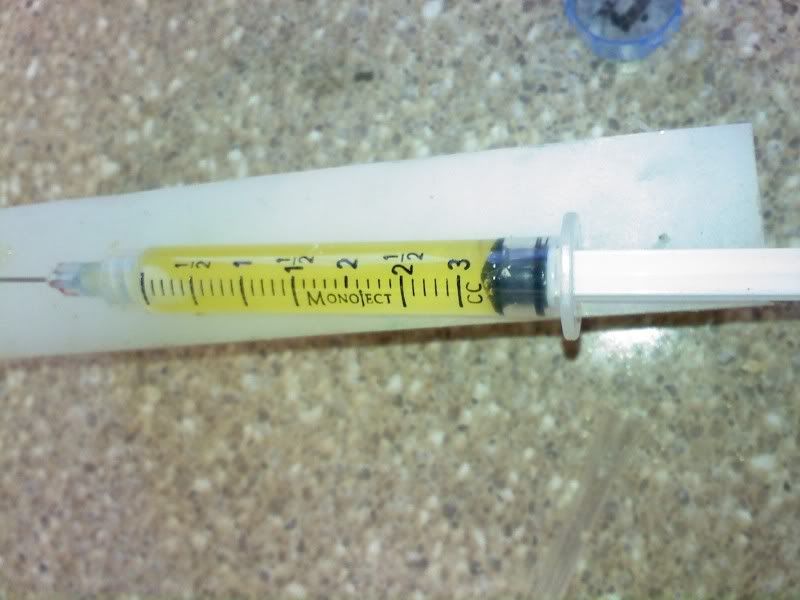0527112010.jpg