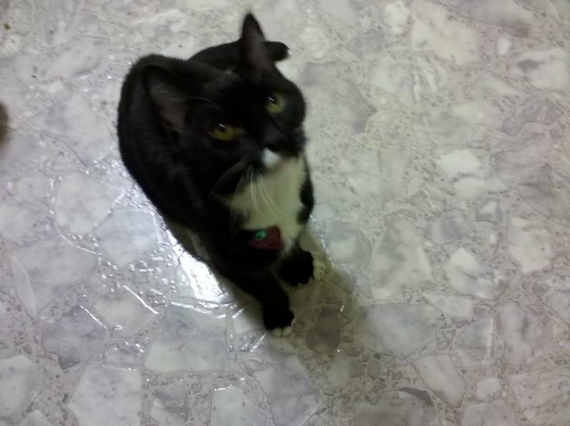 138047890_photobucket_8001_.jpg