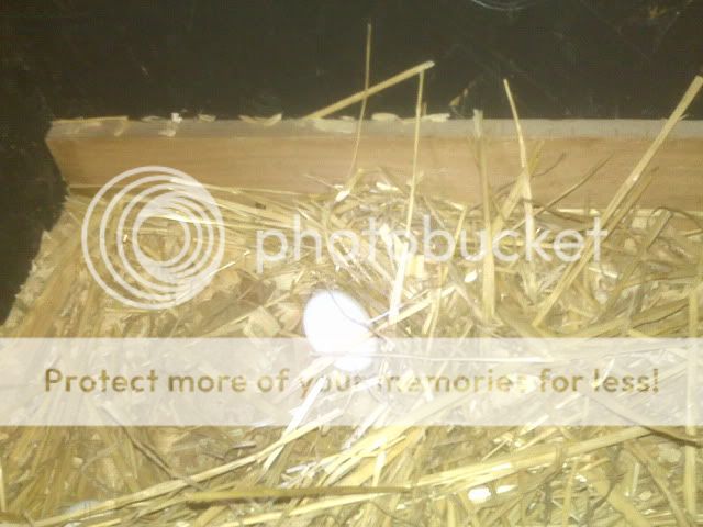 IMG00198.jpg