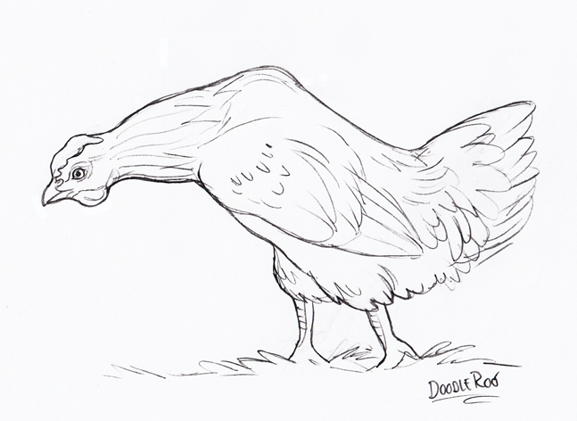 hunchbackchickensm_by_slayersyrena-dbfgxkp.jpg