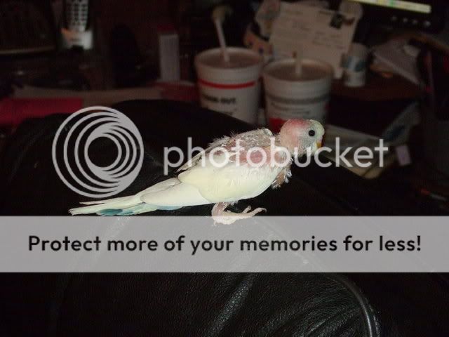 DSCF1056.jpg