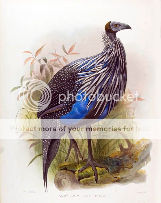Acrylliumplate.jpg
