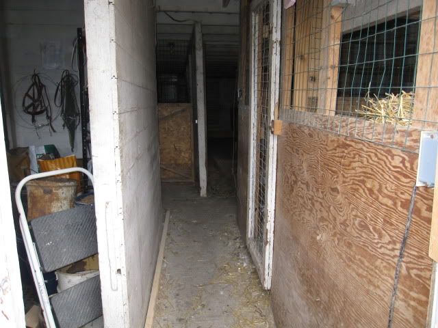 062.jpg