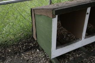 sideviewofnestingbox.jpg
