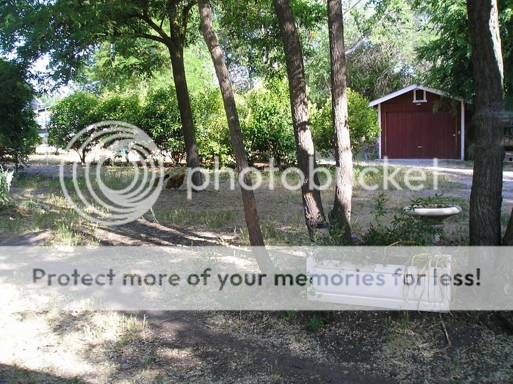 52507003.jpg