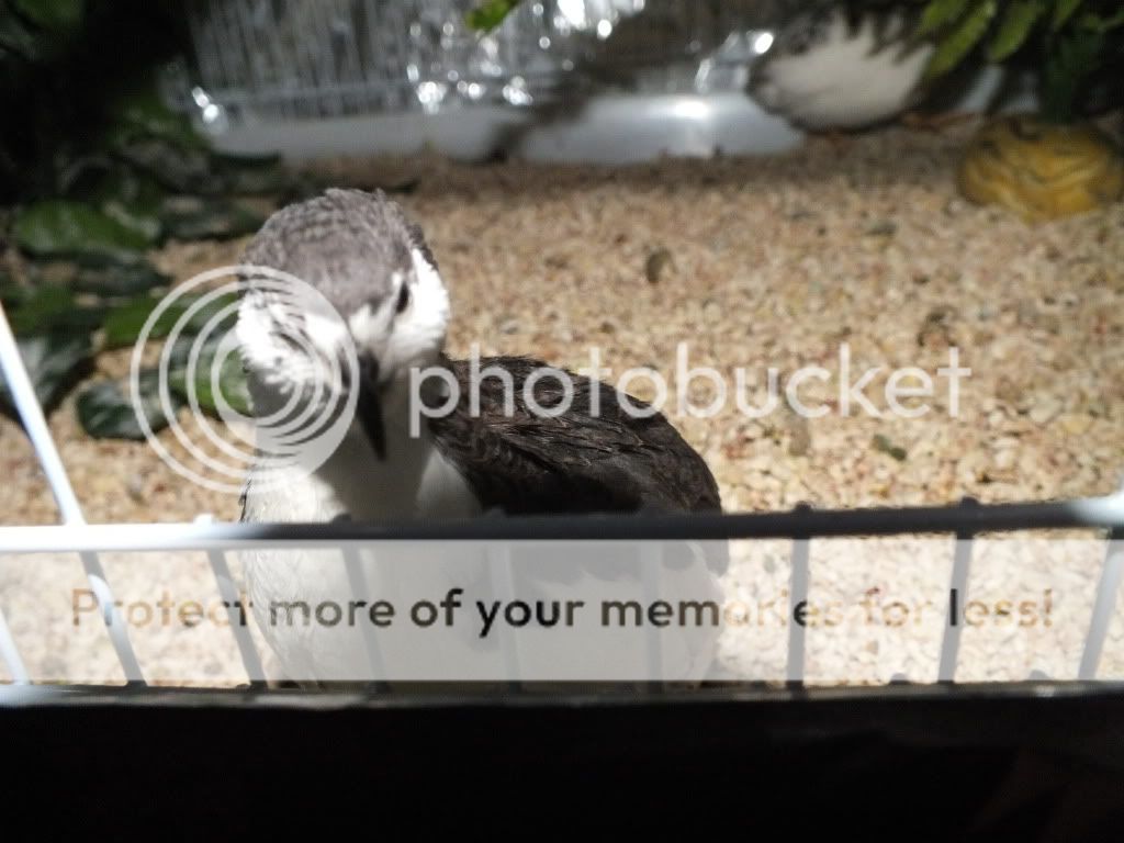 DSCF9141.jpg