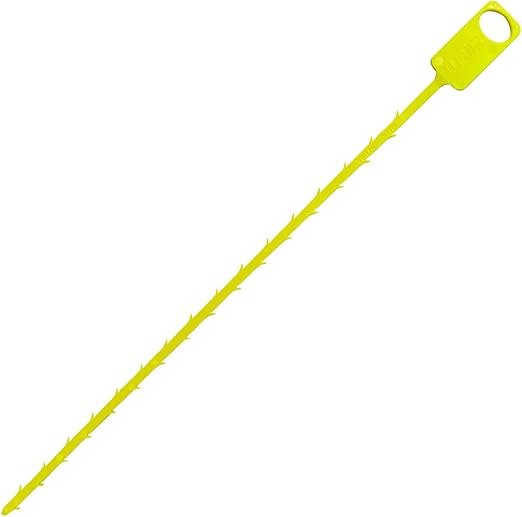 51JF9CM8GxL._AC_SX522_.jpg