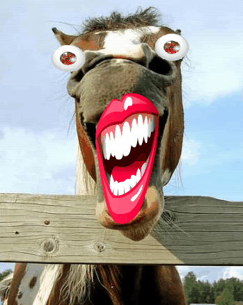 laughing-horse-1.gif