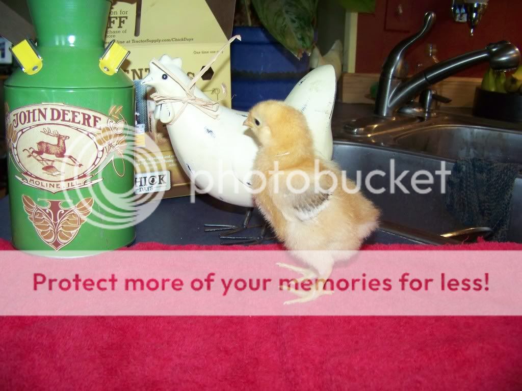 100_9425.jpg