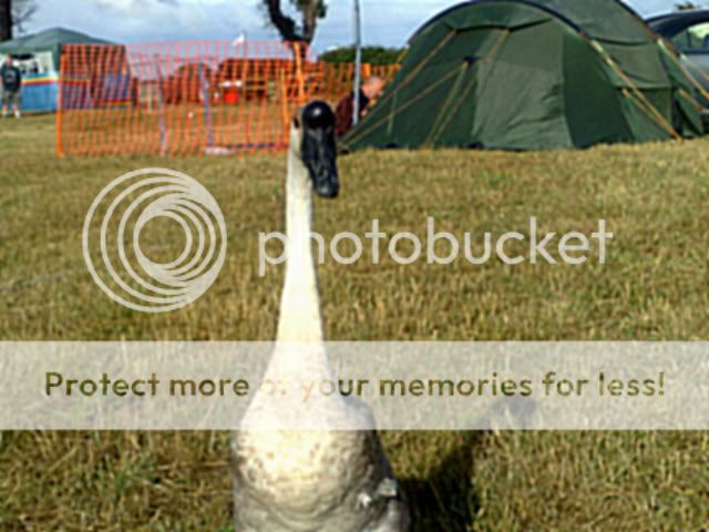 Fairford009.jpg