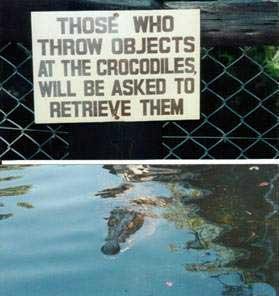 Funny-Signs-laughing-18457192-279-296.jpg