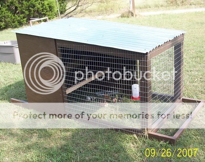 smallcoop01.jpg