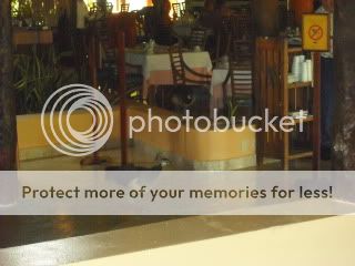 COZUMEL_09128.jpg