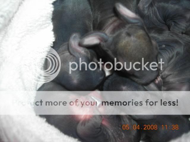 DSCN2807.jpg
