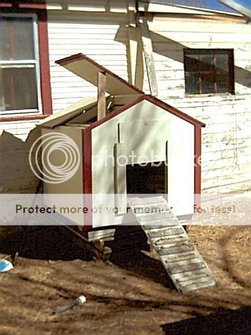 MyCoop222509.jpg