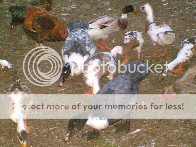 DSCF5205.jpg