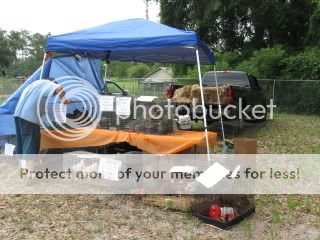 IMG_2123.jpg