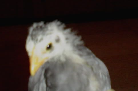 DSC07603.jpg