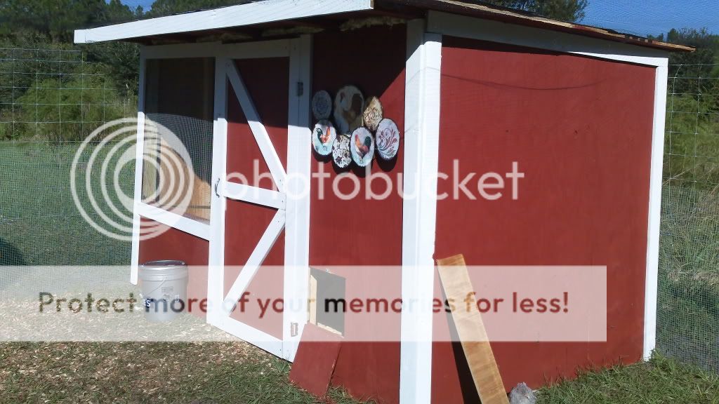 chickenhouse.jpg