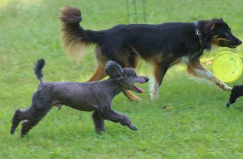 1404149935_26e60a3ece.jpg