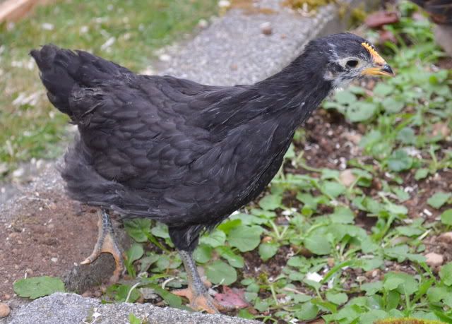 DSC_2224.jpg