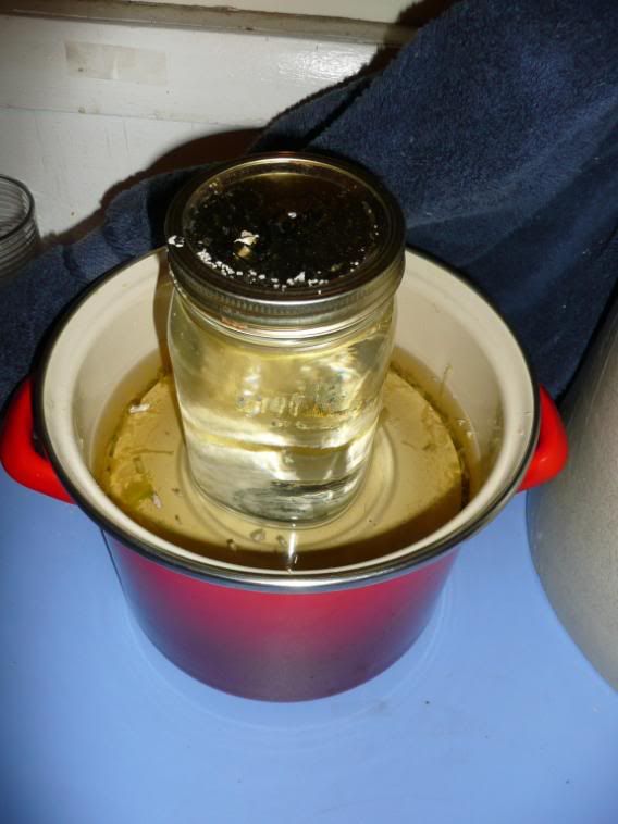 Sauerkraut.jpg