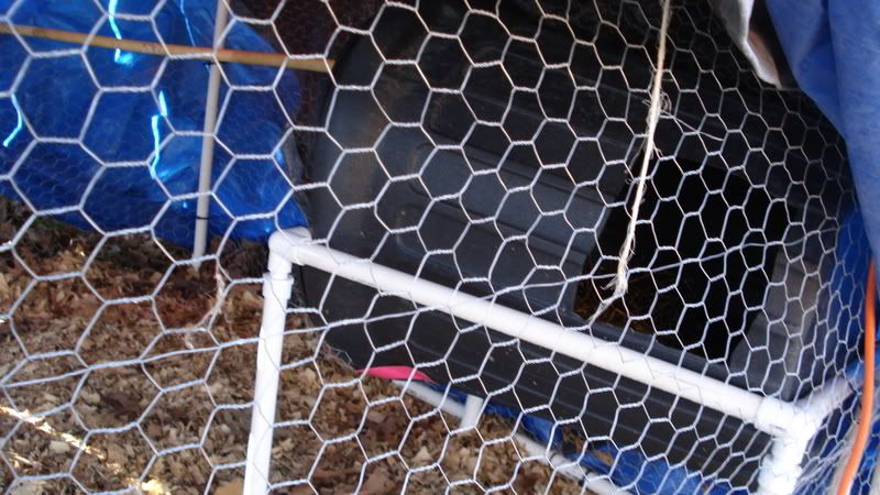 Picture4023.jpg