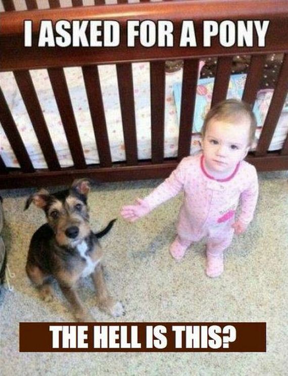 05-funniest_baby_memes.jpg