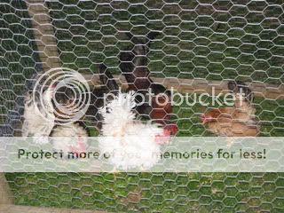 SpringSeramapics059.jpg