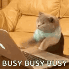 Busy GIFs | Tenor