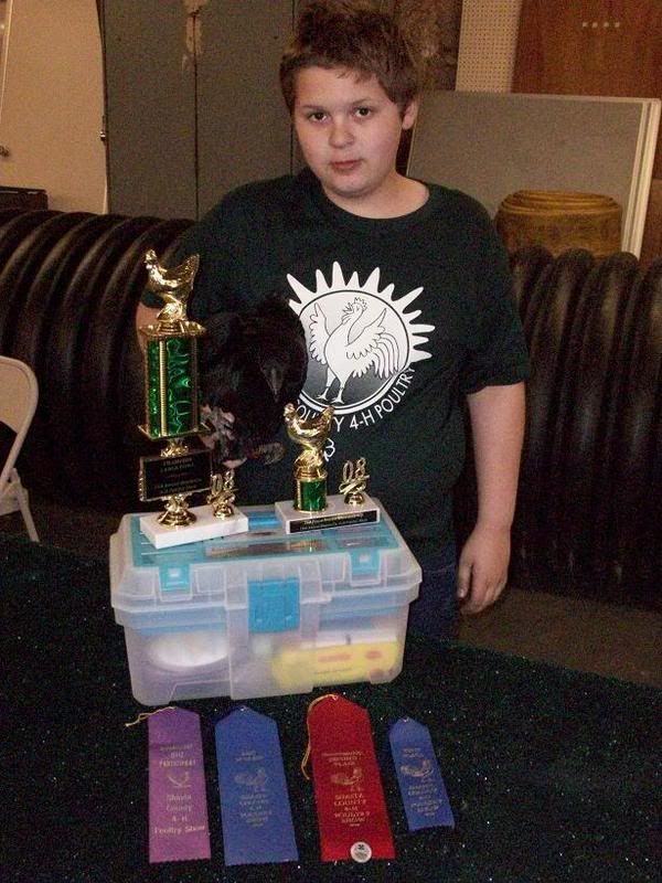 08chickensowreddingkyle.jpg