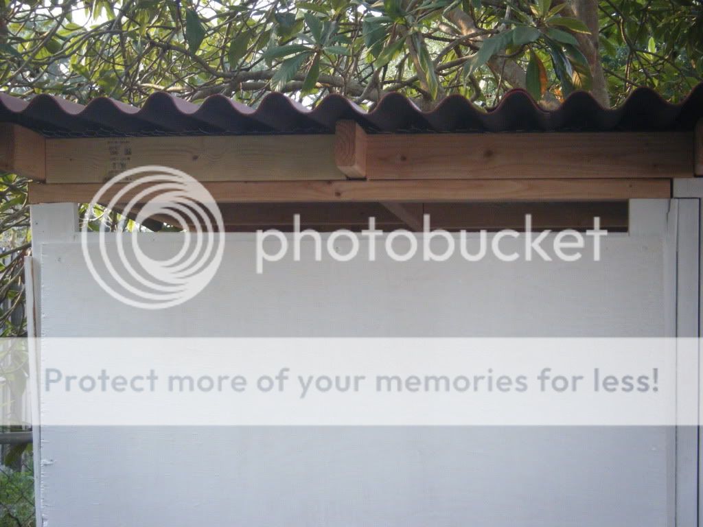 DSCF4539.jpg