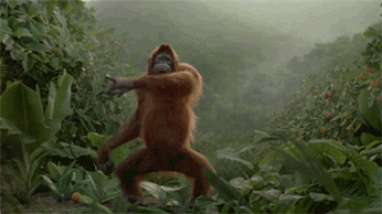 og2.gif