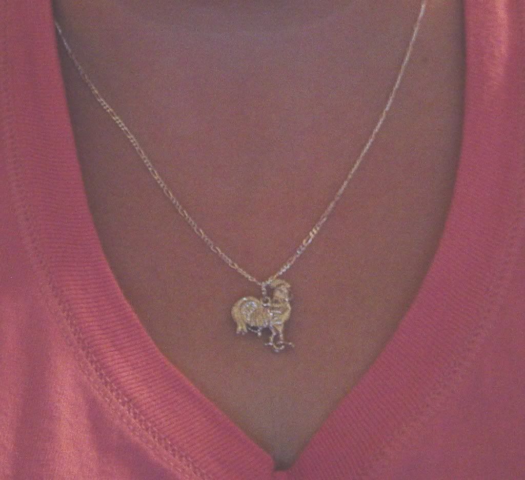 MynewNecklace004.jpg