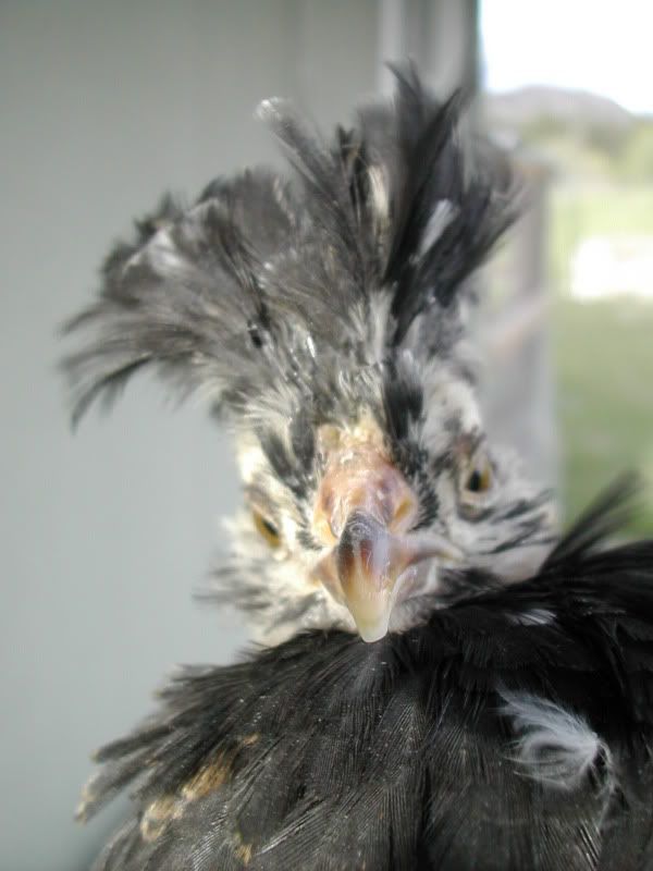 DSCN4188.jpg