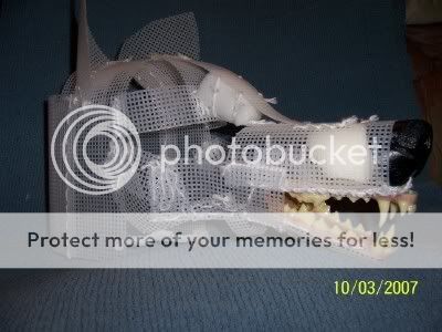 100_0557.jpg