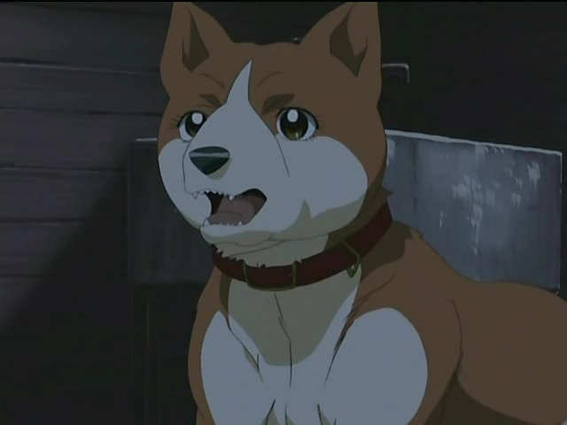 reika4oq9jk.png
