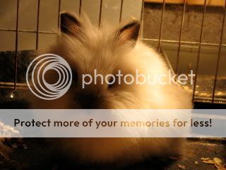 IMG_3016.jpg