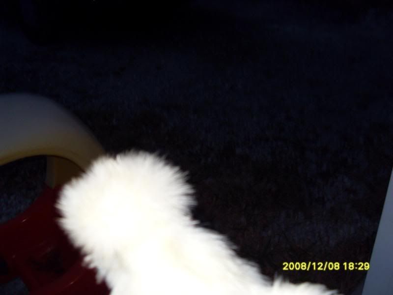 SDC10762.jpg
