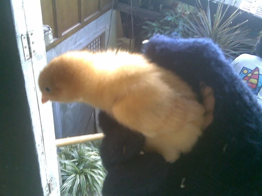 12122007010.jpg