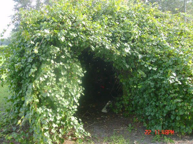 DSC01468.jpg